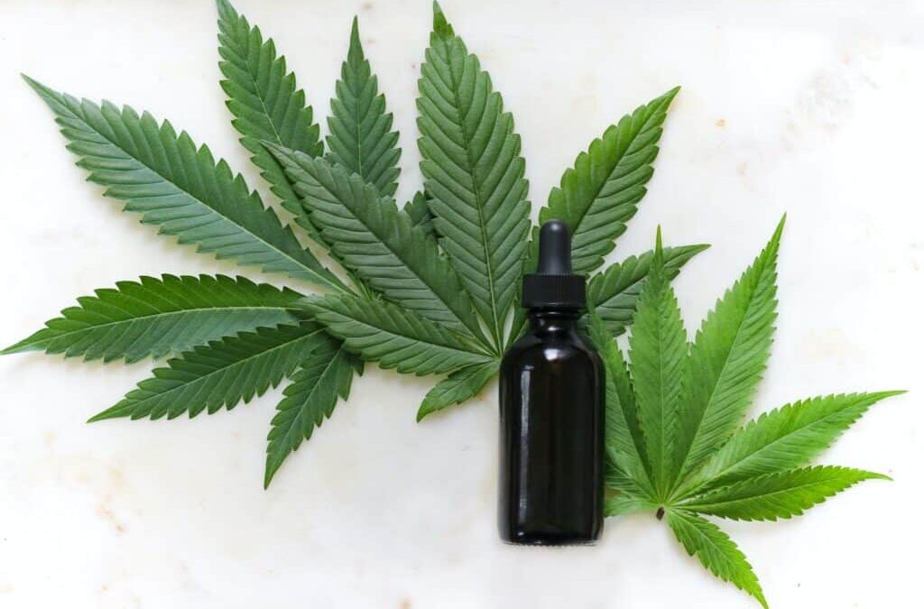 The difference between CBD oil and hemp seed oil?