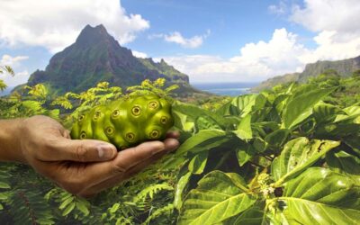 Tahitian Noni Juice